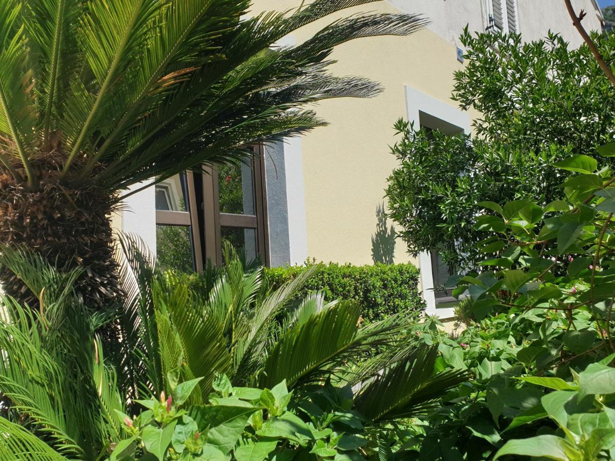 Apartament Kotor Center W Zewnętrze zdjęcie